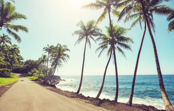 Pittoresk Utsikt Över Hawaii Island — Stockfoto