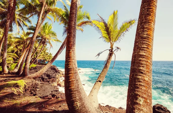 Fantastisk Hawaiian Stranden Vacker Utsikt — Stockfoto