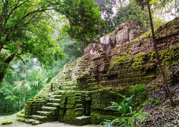 Famosos Templos Mayas Antiguos Parque Nacional Tikal Guatemala América Central — Foto de Stock
