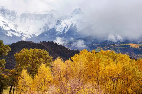 Outono Amarelo Colorido Colorado Estados Unidos Temporada Outono — Fotografia de Stock