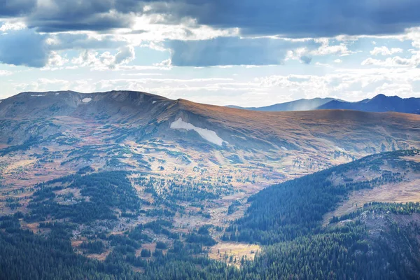 Farbenfroher Gelber Herbst Colorado Usa Herbstsaison — Stockfoto