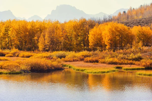 Jaskrawe Kolory Jesiennego Sezonu Parku Narodowym Grand Teton Wyoming Usa — Zdjęcie stockowe