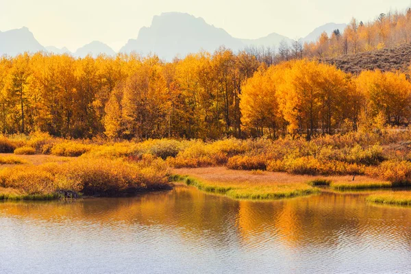 Ljusa Färger För Höstsäsongen Grand Teton National Park Wyoming Usa — Stockfoto