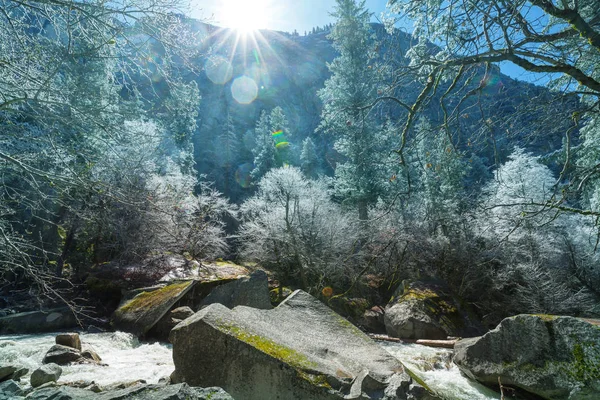 Beautiful Early Spring Landscapes Yosemite National Park Yosemite Usa — Stock Photo, Image