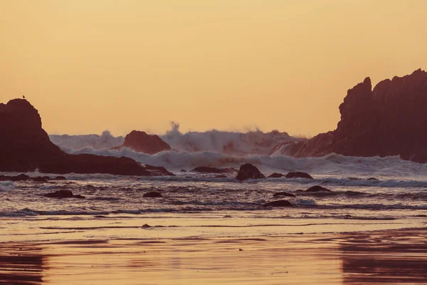 Olympic National Park Landscapes — Stock Photo, Image