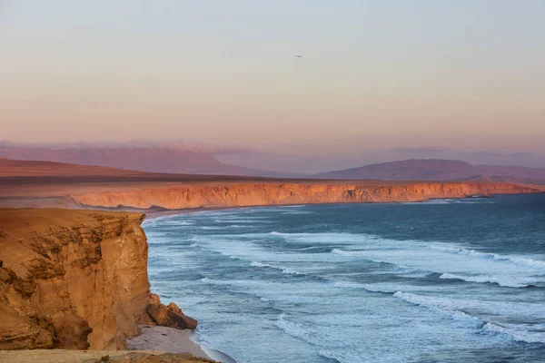 Beautiful Coastline Landscapes Paracas National Reserve Ica Region Pacific Coast — Stock Photo, Image