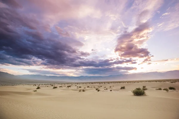 Duinen Death Valley National Park Californië Verenigde Staten — Stockfoto