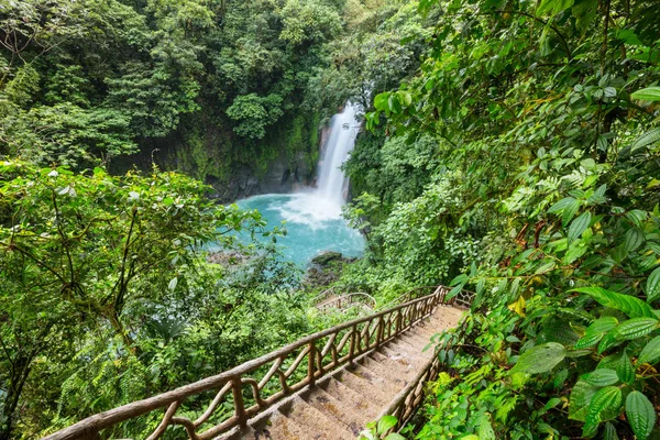 Величественный Водопад Джунглях Тропических Лесов Коста Рики Тропический Поход — стоковое фото