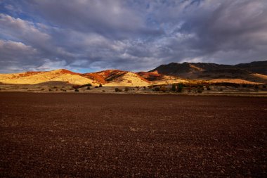 sonbahar mevsiminde tarlalar