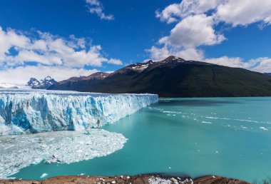 Arjantin 'de perito moreno buzulu