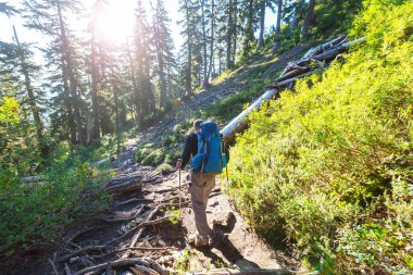 Hiking adam yolun ormanın içinde bay.
