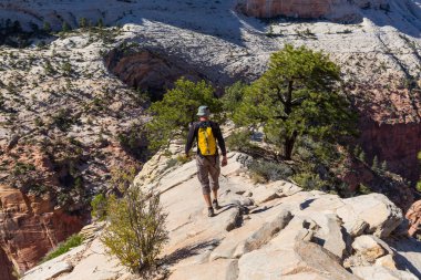 Zion national park için yapılan zammı