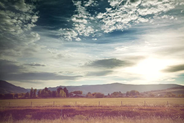 Fält Höst Säsongen Natur Landskap — Stockfoto