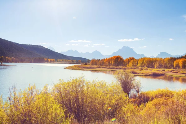 Colori Brillanti Della Stagione Autunnale Nel Grand Teton National Park — Foto Stock