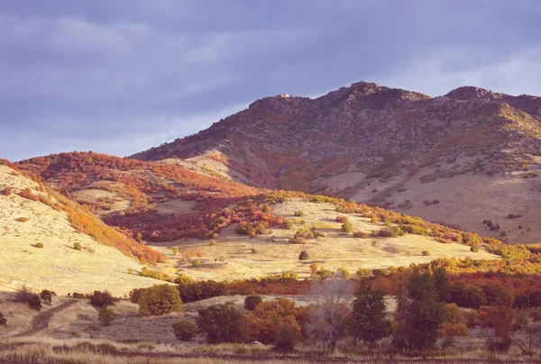 Fine Stagione Autunnale Montagna — Foto Stock