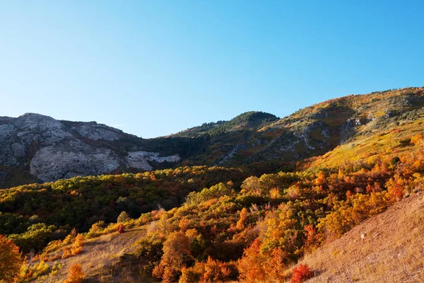 山の晩秋の季節 — ストック写真