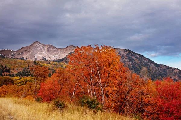 Temporada Final Otoño Las Montañas — Foto de Stock