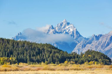 Güz mevsiminin parlak renkleri Grand Teton Ulusal Parkı, Wyoming, ABD
