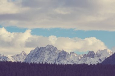 Colorado 'daki Dağ Manzarası Rocky Dağları, Colorado, ABD.