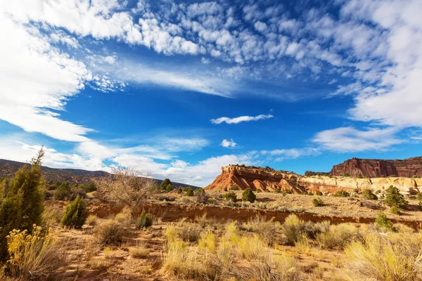 Bellissimi Paesaggi Del Deserto Americano — Foto Stock