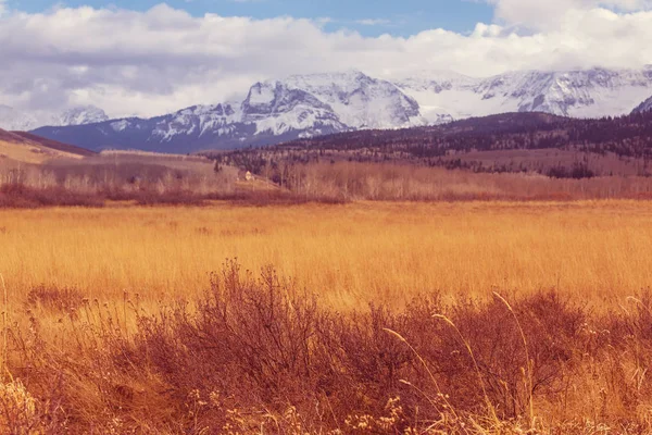 Kleurrijke Gele Herfst Colorado Verenigde Staten Herfstseizoen — Stockfoto