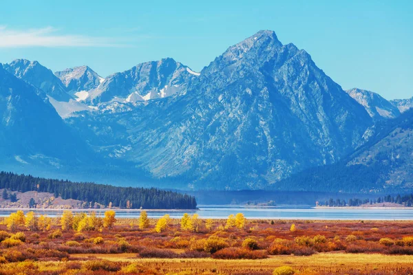 Jasné Barvy Podzimní Sezóny Grand Teton National Park Wyoming Usa — Stock fotografie