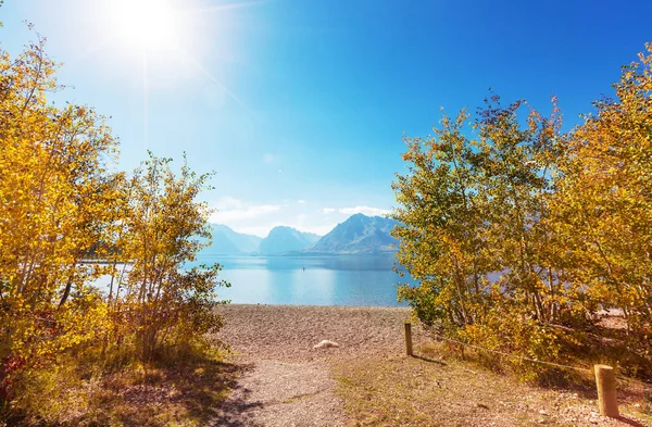 Heldere Kleuren Van Het Herfstseizoen Grand Teton National Park Wyoming — Stockfoto