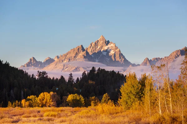 Bright Colors Fall Season Grand Teton National Park Wyoming Usa — Stock Photo, Image