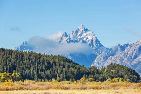 Colori Brillanti Della Stagione Autunnale Nel Grand Teton National Park — Foto Stock