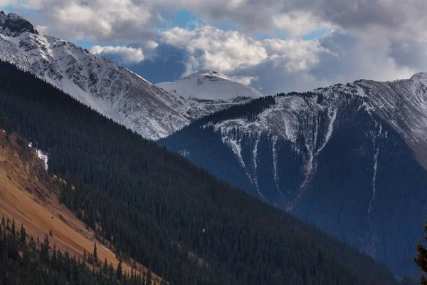 Paesaggio Montano Colorado Montagne Rocciose Colorado Stati Uniti — Foto Stock