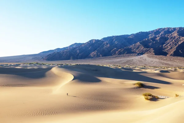Homokdűnék Death Valley Nemzeti Park Kalifornia Usa — Stock Fotó