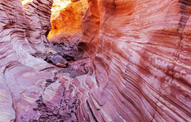 Slot canyon in Grand Staircase Escalante National park, Utah, USA. Unusual colorful sandstone formations in deserts of Utah are popular destination for hikers. clipart