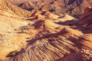 Utah, ABD 'de kumtaşı oluşumları. Yant düzlükleri