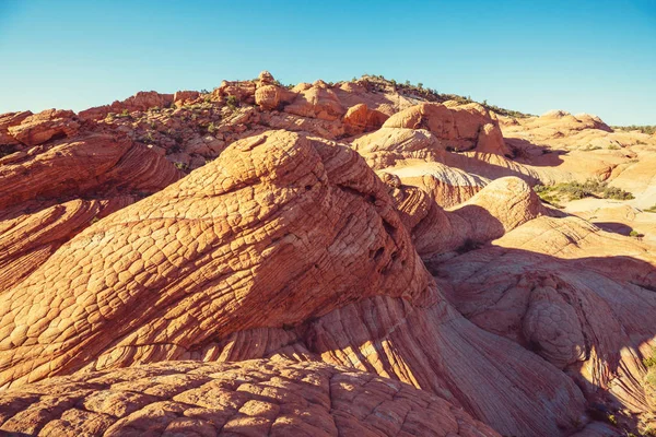 Sandstensformationer Utah Usa Fladdermöss — Stockfoto