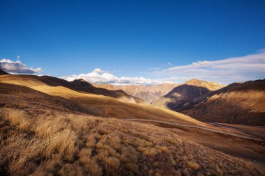 Colorado, ABD 'de renkli bir sonbahar. Sonbahar sezonu.