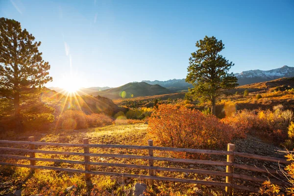 Színes Sárga Ősz Colorado Egyesült Államok Őszi Szezon — Stock Fotó