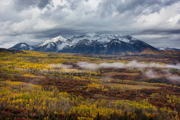 Outono Amarelo Colorido Colorado Estados Unidos Temporada Outono — Fotografia de Stock