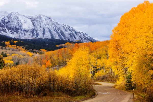 Kolorowa Żółta Jesień Kolorado Stany Zjednoczone Sezon Jesienny — Zdjęcie stockowe
