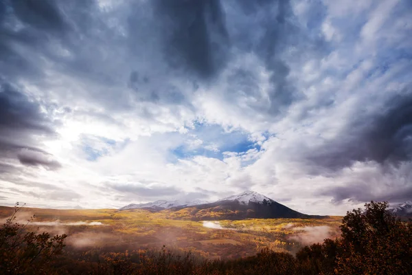 Colorful Yellow Autumn Colorado United States Fall Season — Stock Photo, Image