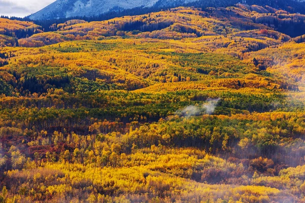 Outono Amarelo Colorido Colorado Estados Unidos Temporada Outono — Fotografia de Stock