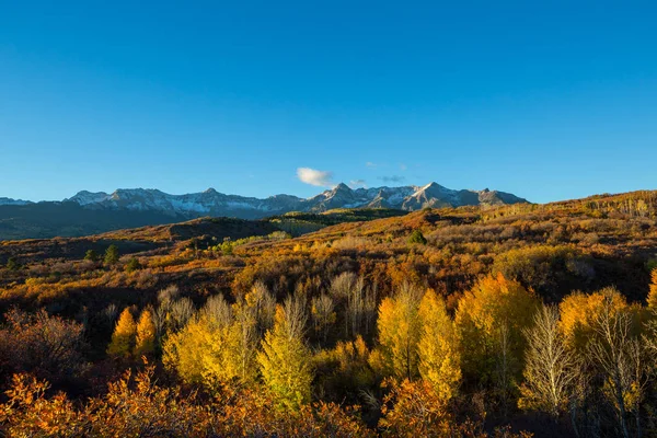 Colorful Yellow Autumn Colorado United States Fall Season — Stock Photo, Image