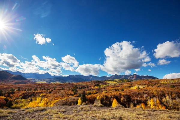 Automne Jaune Coloré Dans Colorado États Unis Saison Automne — Photo