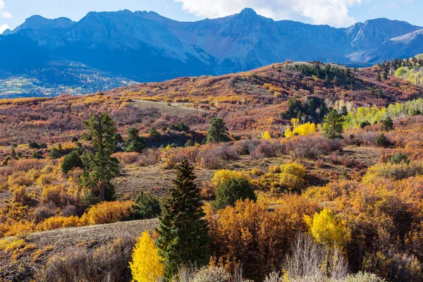 Färgglad Gul Höst Colorado Usa Höstsäsong — Stockfoto