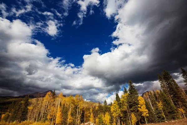 Kleurrijke Gele Herfst Colorado Verenigde Staten Herfstseizoen — Stockfoto