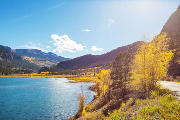 Outono Amarelo Colorido Colorado Estados Unidos Temporada Outono — Fotografia de Stock