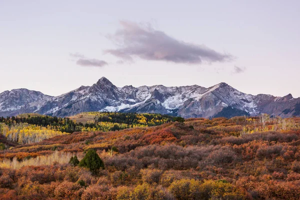 Colorato Autunno Giallo Colorado Stati Uniti Stagione Autunnale — Foto Stock