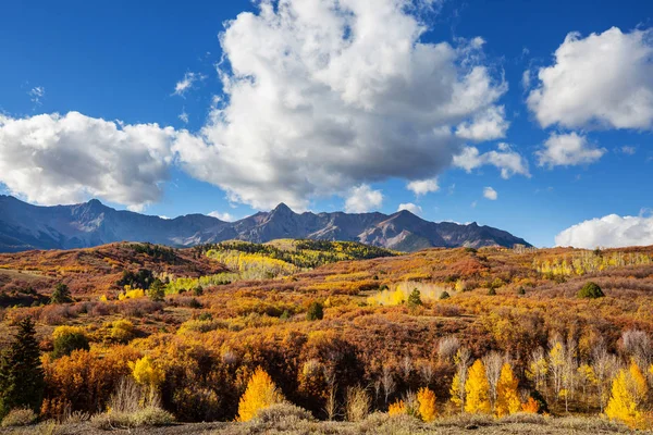 Colorato Autunno Giallo Colorado Stati Uniti Stagione Autunnale — Foto Stock