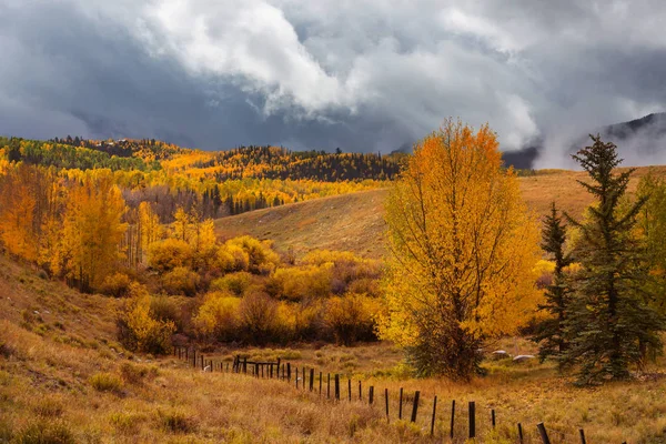 Colorido Otoño Amarillo Colorado Estados Unidos Temporada Otoño —  Fotos de Stock