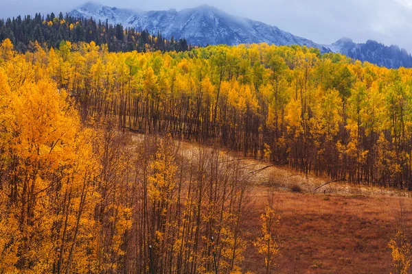 Barevný Žlutý Podzim Coloradu Spojených Státech Podzimní Sezóna — Stock fotografie