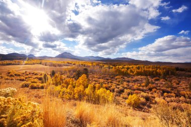 Sierra Nevada Dağı 'nın manzarası. Sonbahar yaprakları. Kaliforniya, ABD.
